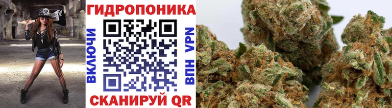 Купить закладку APVP  COCAIN  Гашиш  Меф мяу мяу  Каннабис  Петровск
