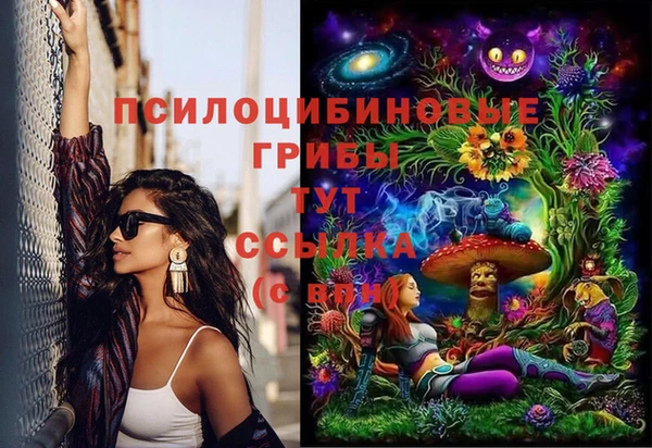 apvp Карталы