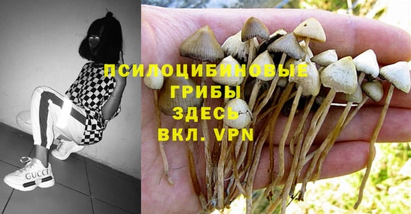 марки nbome Карпинск