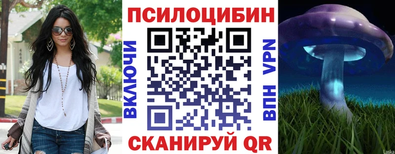 Купить  Петровск  Галлюциногенные грибы мицелий 